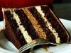 Torta sa čokoladom, keksom, lešnikom i eurokremom