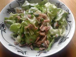 Tunjevina salata